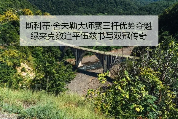 si-ke-di-she-fu-lei-da-shi-sai-san-gan-you-shi-duo-kui-lv-jia-ke-shu-zhui-ping-wu-zi-shu-xie-shuang-guan-chuan-qi-2-519.jpg